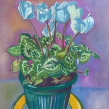 Cyclamen